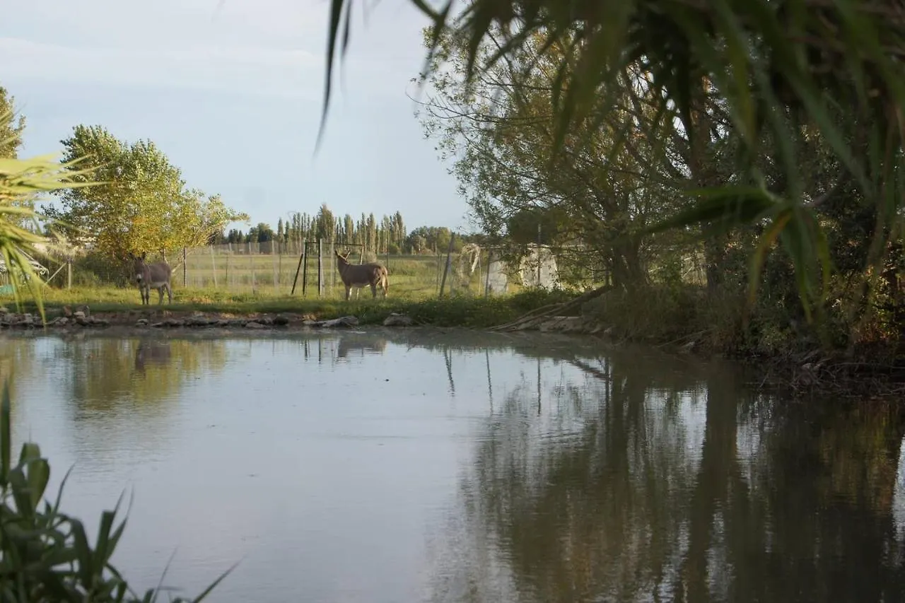 LE MAS DE L AUBE - Évènements et longs séjours Monteux