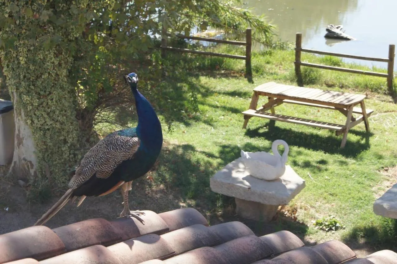 Le Mas De L Aube - Evenements Et Longs Sejours Villa Monteux Holiday home